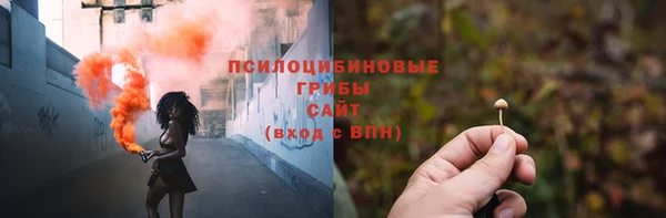 прущий лед Алзамай